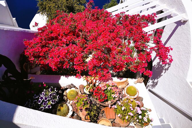 Private Unseen Authentic Santorini Half Day Shore Excursion - Transportation and Pickup