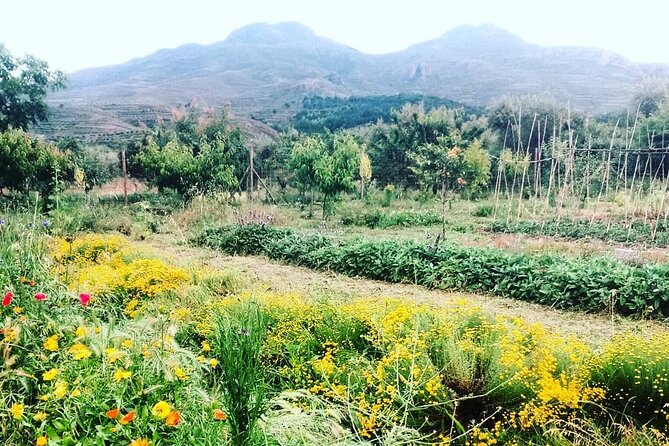 Private Visit to an Aromatic Plant Farm in La Rioja - Meeting and Pickup Details