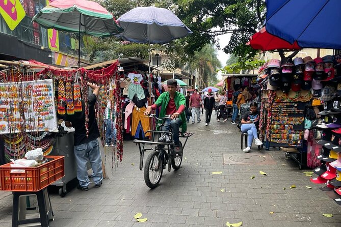 Private Walking Tour Through Medellín's Historical Center - Plaza Botero and Museo De Antioquia