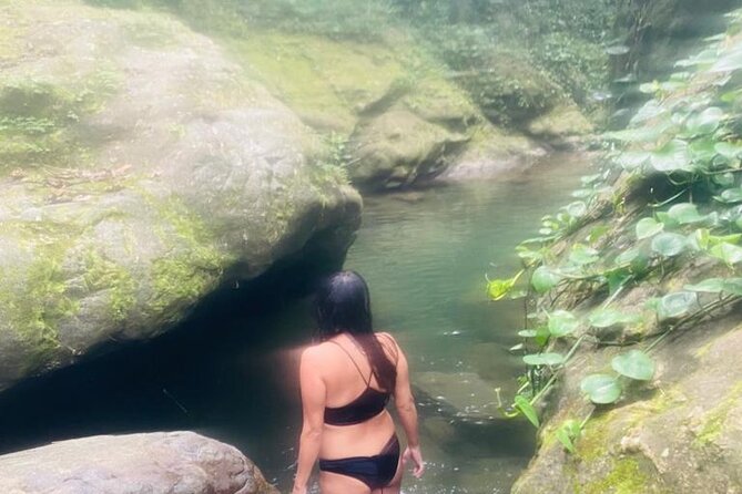 Private Wellness Tour of Puerto Rico Waterfalls and Hot Springs - Customer Reviews