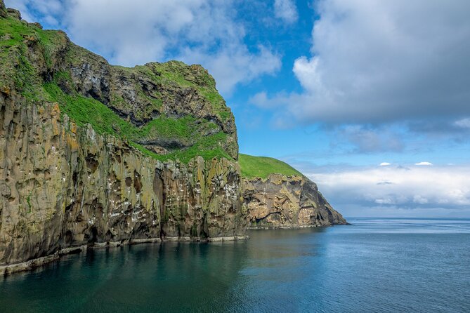Private Westman Islands Day Tour - Inclusions of the Tour
