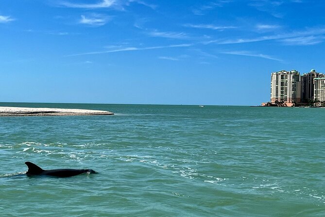 Private Wild Dolphin Boat Tour - Meeting and Pickup Details