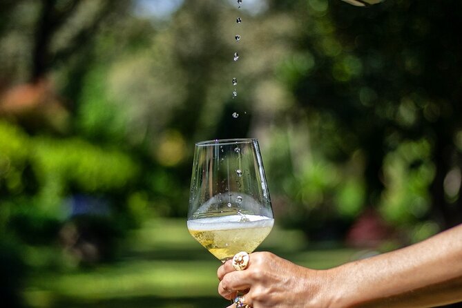 Private Wine Experience in Rota Do Vinho Verde With Lunch - Indulging in a Private Wine Tasting