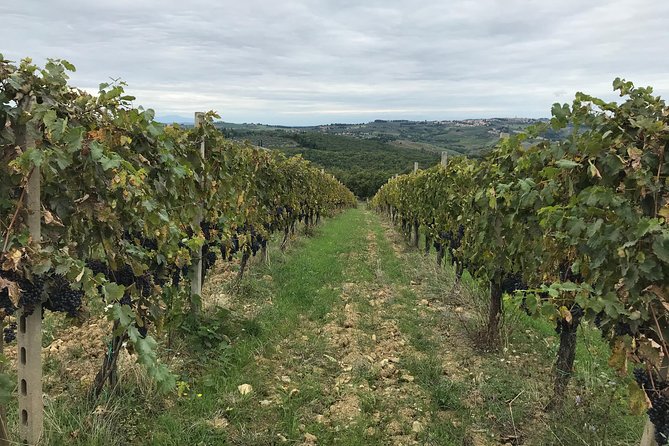 Private Wine Tour in Chianti Classico With Sommelier (2 Wineries) - Experience Details