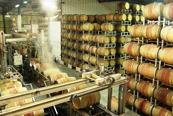Private Wine Tour of Northern Israel - Boutique Winery Experiences