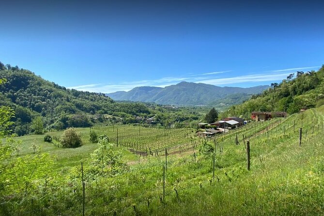 Private Wine Tour With Sommelier - the Elegance of Garfagnana - Wine Selection From Podere Concori