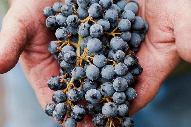 Private Wine Tour With Tastings From Eugene - Tasting Experiences