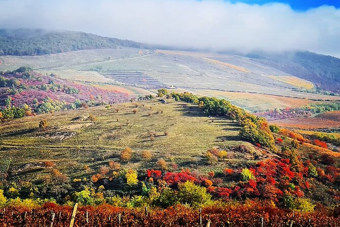 Private Winetasting and Sightseeing Tour to Eger, Home to Bulls Blood Wine! - Itinerary Highlights