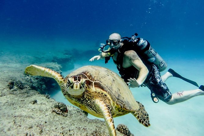 Professional Scuba Diving Full Day Trip With Transfer – Hurghada - Pickup and Transportation