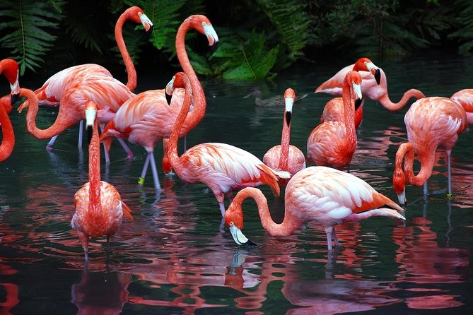 Progreso Explore the Xcambo Mayan Ruins and Beach Break - Inclusions