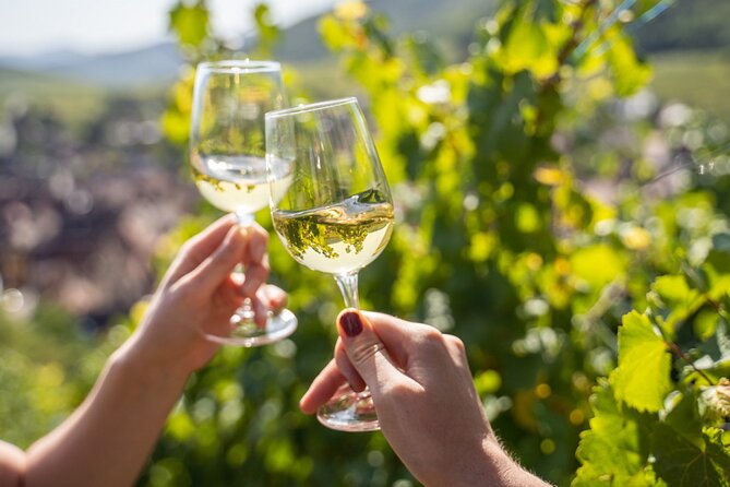 Provence, Vineyards & Lavender Fields Private Day Trip - Indulging in Vineyard Tastings