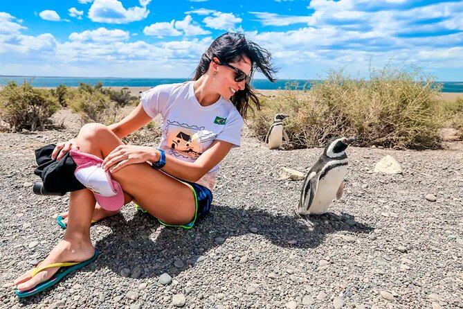 Puerto Madryn: Punta Tombo Full-Day Tour - Inclusions and Pickup