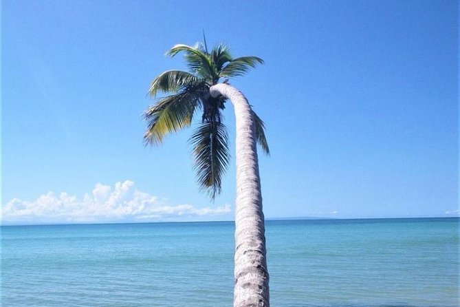 Puerto Plata-Round Trip Shuttle- 1-6 Passangers - Accessibility and Participation