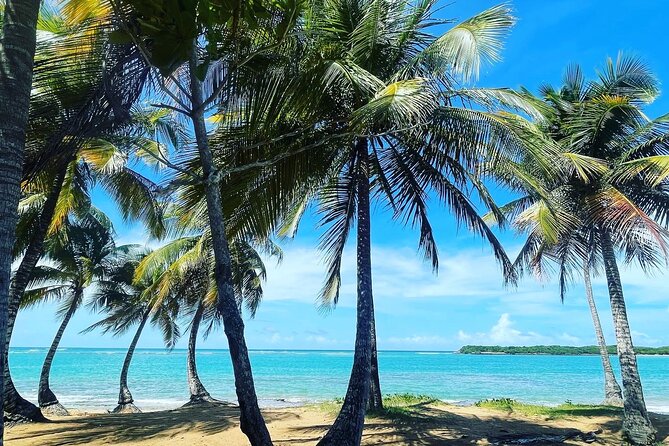 Puerto Rico Hidden Spring Swim and Beach Snorkeling Tour - Inclusions