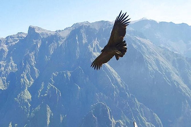 Puno, Chivay and Colca Canyon 2 Days and 1 Night - Pickup and Transport