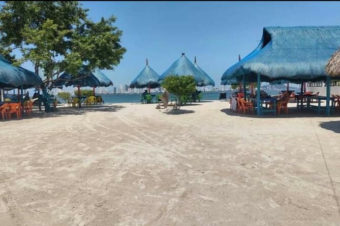 Punta Arena Island Day Tour - Transportation and Meeting Points