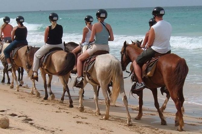 Punta Cana Horse Back Ridding on the Beach - Inclusions and Amenities