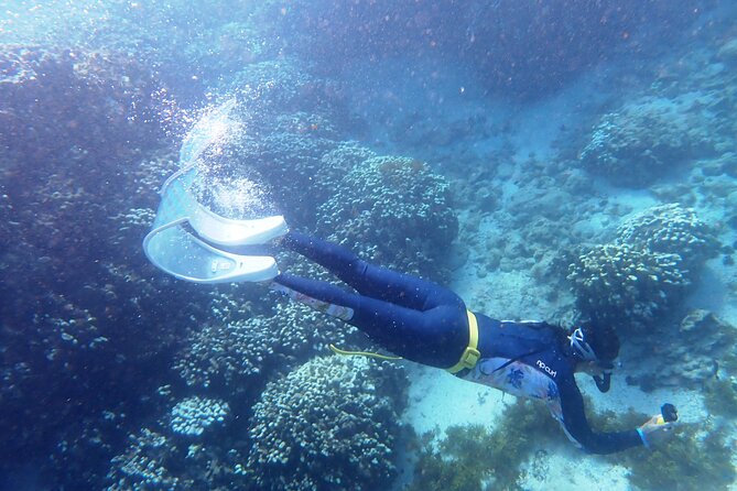 Rapa Nui Coral Reef Snorkeling - Inclusions and Experience