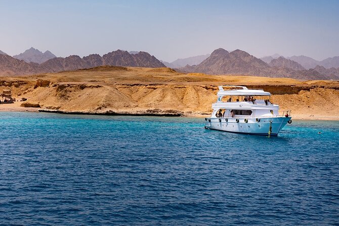 Ras Mohamed and White Island Snorkeling Trip and One Stop Diving-Sharm El Shiekh - Inclusions and Itinerary