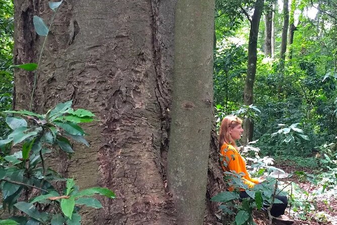 Rau Forest Bike Tour - Meeting and Pickup
