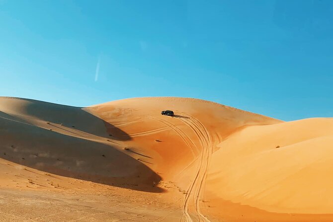 Red Dunes Desert Safari Dubai With BBQ Dinner & Sand Adventure - Camel Ride and Photoshoot