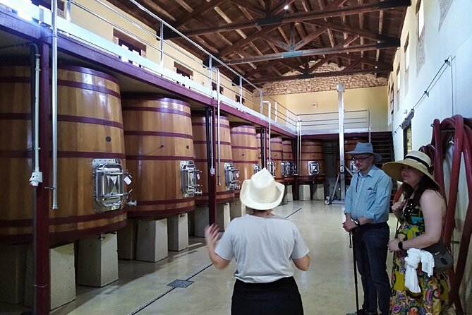 Requena Half-Day Private Vineyards & Premium Wine Tastings Tour - Pickup and Meeting Details