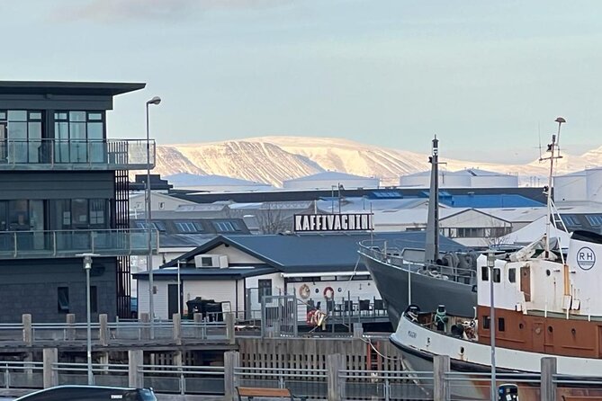 Reykjavik Food Tour - Old Harbor Walking Tour - Included Experiences