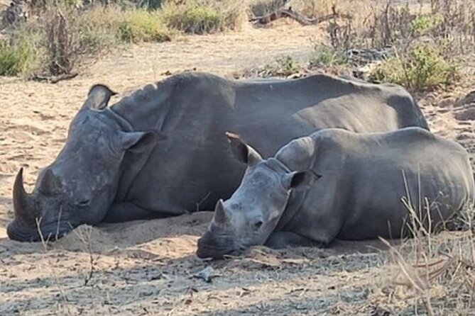 Rhino Walking Safari - Exploring Mosi Oa Tunya