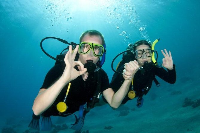 Rhodes Scuba Diving Experience - Inclusions and Services