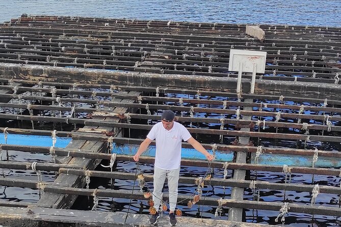 Rias Baixas PRIVATE Shore Tour - Included Activities
