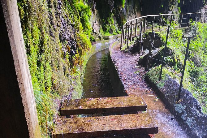 Ribeira Da Janela Tunnels and Waterfalls Tour - Tour Experience