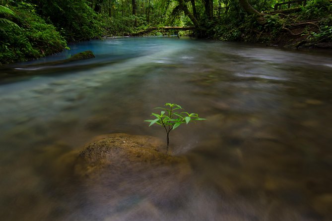 Rio Celeste and Tenorio Volcano Hike With Lunch - Meeting and Pickup