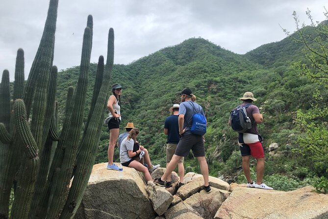 River Hiking Adventure + Lunch at Local's Farm - Inclusions