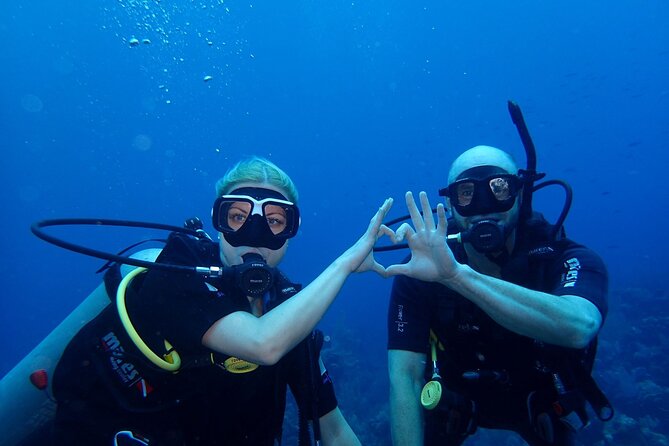 Roatan Full Diving Day Adventure -3 Dives for Certified Divers - Equipment and Services