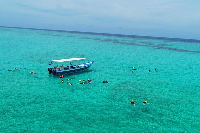 Roatan North Side Mangroves, Starfish, Shipwreck Snorkeling & Transportation - Diving Into the Shipwreck Spectacle