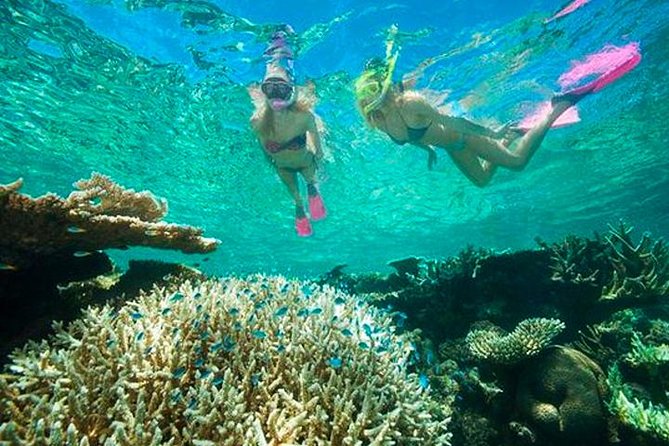 Roatan Private Catamaran Shipwreck, Blue Channel and Starfish With Transfer - Onboard Amenities and Facilities