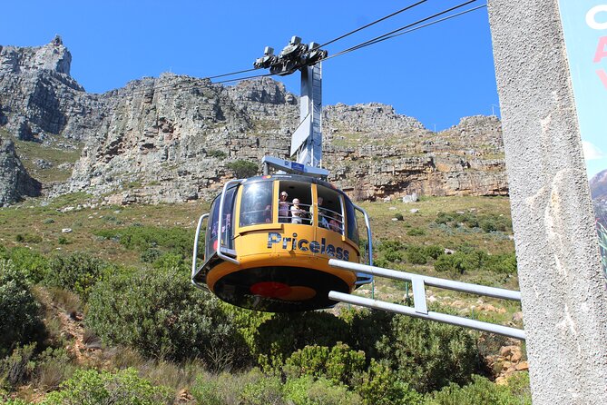 Robben Island Museum Plus Table Mountain National Park & Bo-kaap All Tickets F/d - Meeting and Pickup