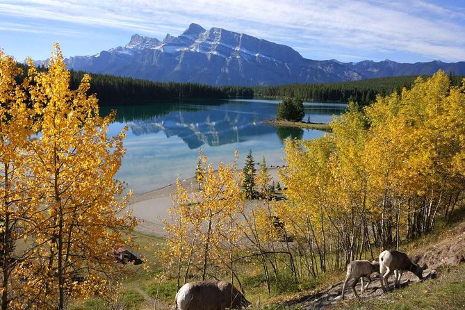 Rockies 4 Day Tour From Calgary Visit Icefield Jasper and Yoho NP - Highlights and Inclusions