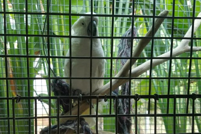 Rockland Bird Sanctuary Private Tour - Booking Details