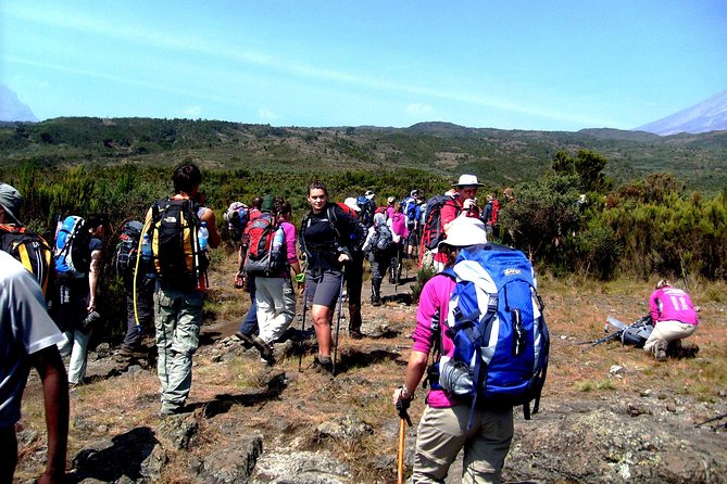 Rongai Route 6 Days 5 Nights/Kilimanjaro Climb - Whats Included in the Experience
