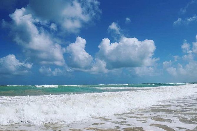 Round Trip Shuttle - Punta Cana Airport Shuttle 7-10 Passengers - Included Services