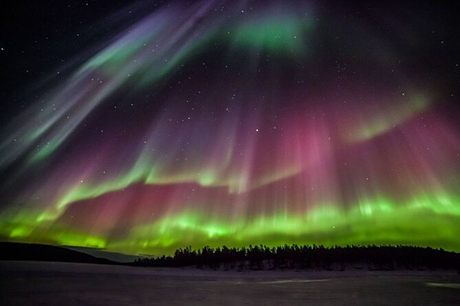 Rovaniemi Northern Lights Small-Group BBQ With Hotel Transfers - Anticipated Experiences