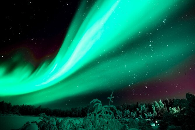 Rovaniemi: Reindeer Evening Safari Tour & 2.5 Km Sled Ride - Highlights of the Experience