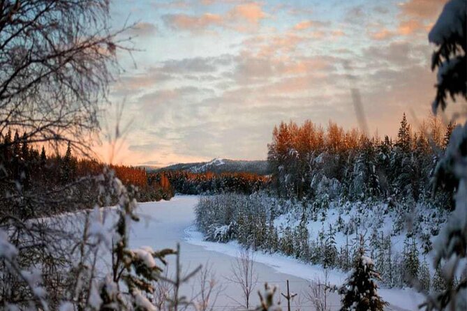 Rovaniemi: Winter Wonderland Vikaköngäs Hiking Tour & BBQ - Meeting and Pickup