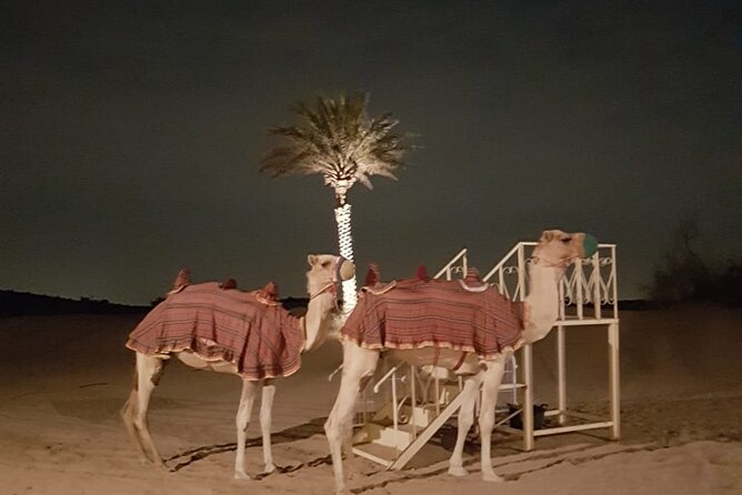 Royal Fortress Fine Dining Desert Safari - Dining Experience Highlights
