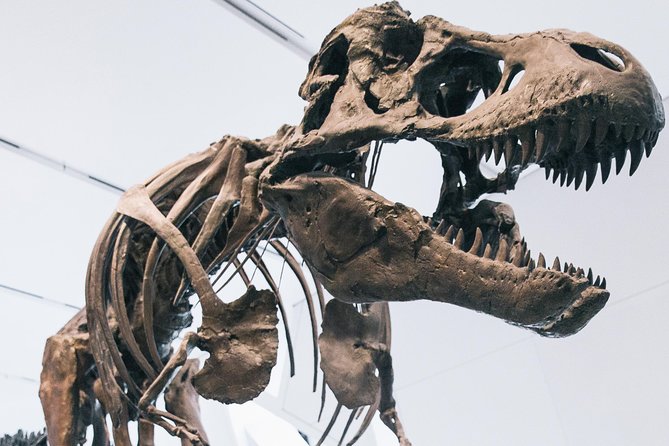 Royal Ontario Museum Admission - Visitor Experience