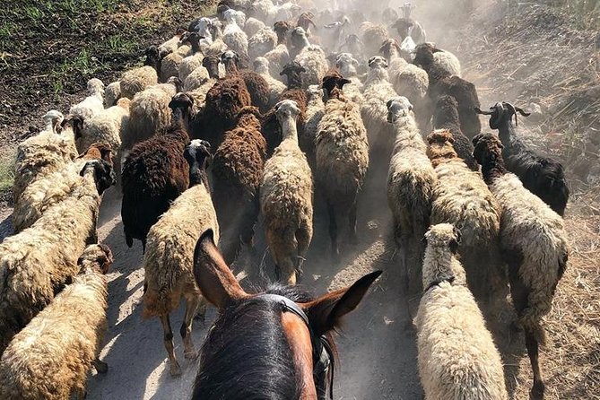 Rural Horse Riding Adventure - Included Equipment and Recommendations
