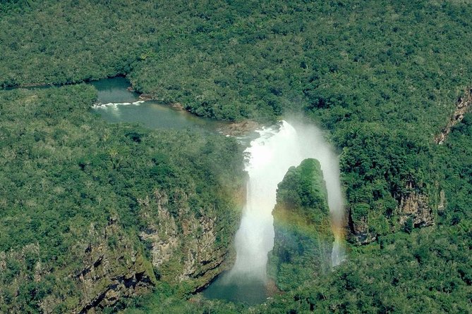 Rurrenabaque Pampas. 3 Days & 2 Nights. PRIVATE TOUR. (PLS ASK FOR SHARED TOUR) - Transportation and Pickup