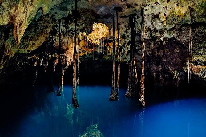 Sacred Adventure at Xenotes! 4 Different Cenotes + Round Transportation - Included Activities and Amenities