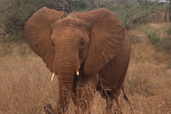 Safari And Beach Vacations - Beach Destinations to Explore